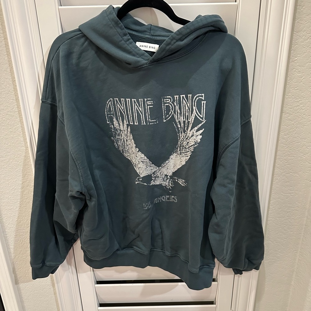 Anine Bing hoodie!